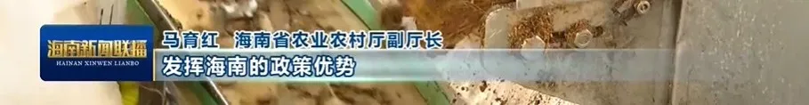 8.png